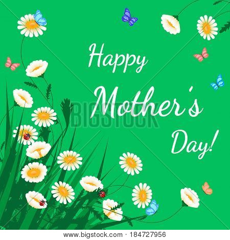 Happy Mothers Day greeting card. Grass with white chamomiles on green. Floral nature background. Vector flower with butterfly and ladybird
