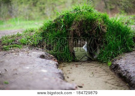 Streaming water in the park with small bridge