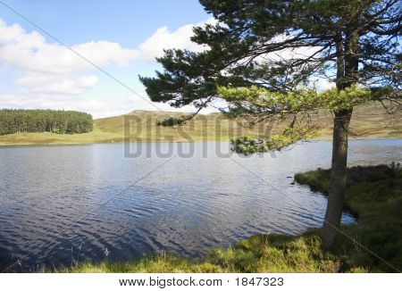 Auchintaple Loch 