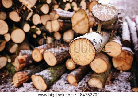 Pile Of Chopped Fire Wood Prepared For Winter