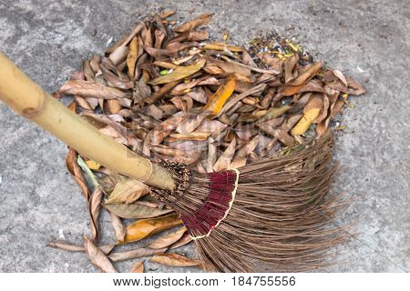 Sweeping Leaves with Coconut Leave Broom on Street