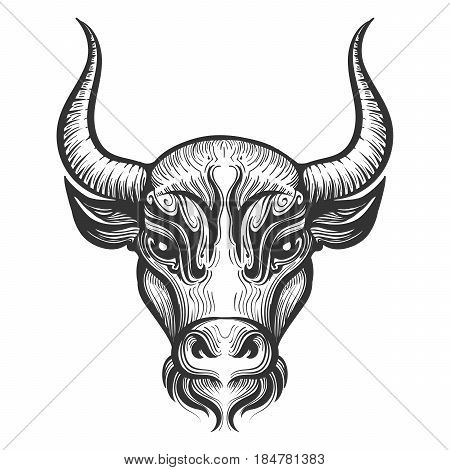 Bull Head engraving illustration. Signs of the zodiac. Astrological sign. Vector illustration isolated on a white abackground.
