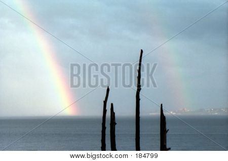 Regenboog 1