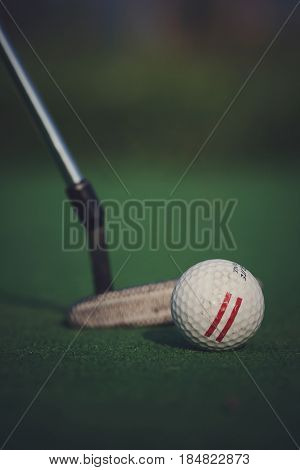 A Closeup Of Gold Ball Lying In The Front Of Mashy