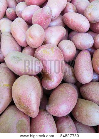 A lot of pink potatoes in a box.