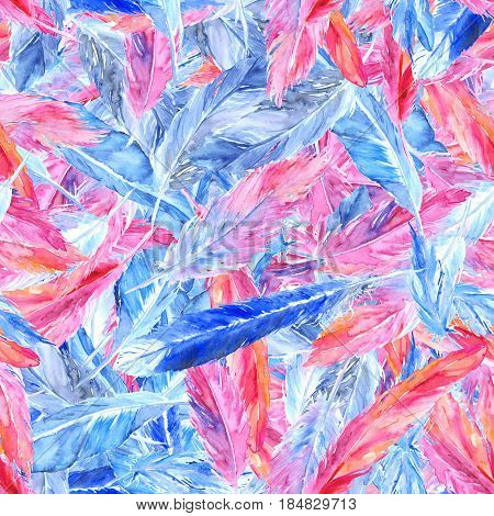 Watercolor colorful pink blue bird feather seamless pattern texture background