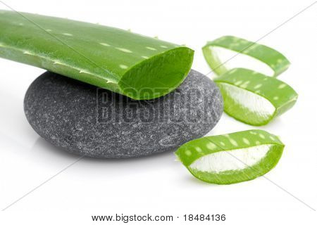 foglia di aloe vera su una pietra