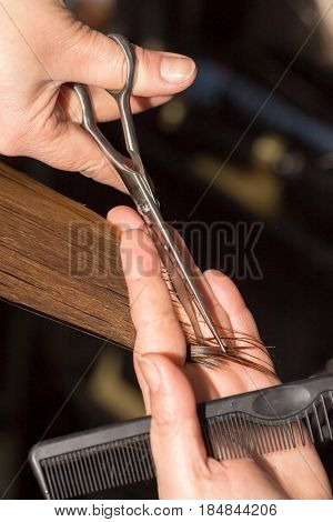 cutting hair in a beauty salon . A photo