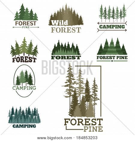 Tree outdoor travel green silhouette forest logo coniferous natural badge tops pine spruce branch cedar and plant leaf abstract stem drawing vector illustration. Panorama scene horizon decoration.