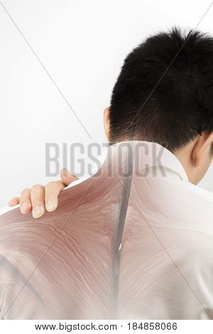 shoulder muscle injury white background shoulder pain