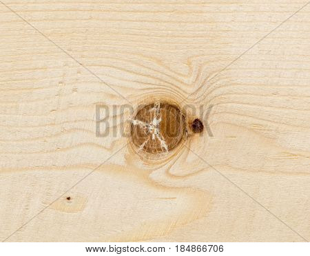 Abstract background of a wooden board. Texture
