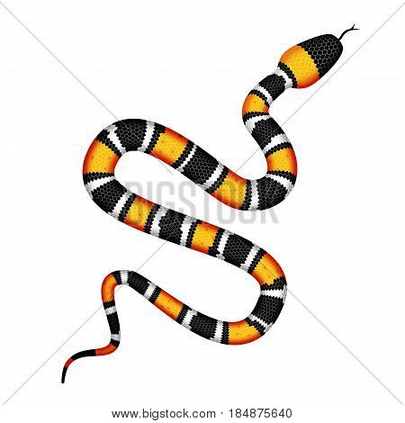 Vector 3d Illustration of Coral Snake or Micrurus Isolated on White Background. Serpent with Orange and Black Stripes
