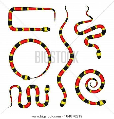 Vector 3D Illustration Of Coral Snake Or Micrurus Isolated On White