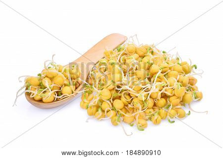 snow pea sprouts in wooden spoon isolated on white background