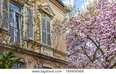 Beautiful Residential Architecture And Gardens In Spring On The Southern Wine Route Germany