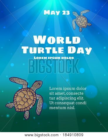 World Turtle Day, May 23