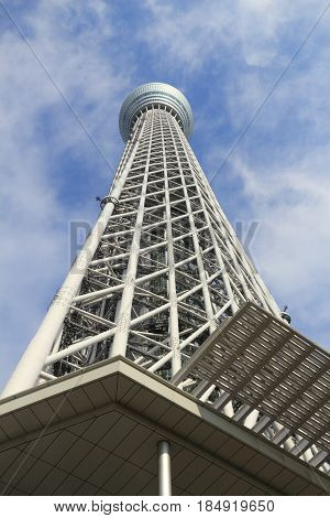 Skytree
