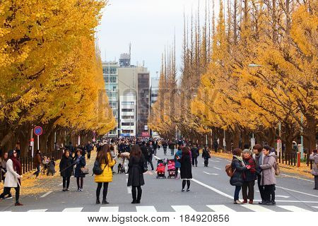 Icho Namiki, Tokyo