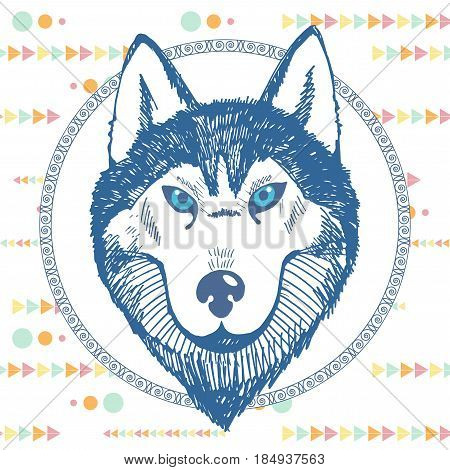Hand-drawn portrait of a husky in a circle on a white background with a pattern of multi-colored triangles and circles. Vector illustration