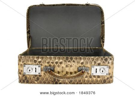 Snakeskin Bag W / percorso