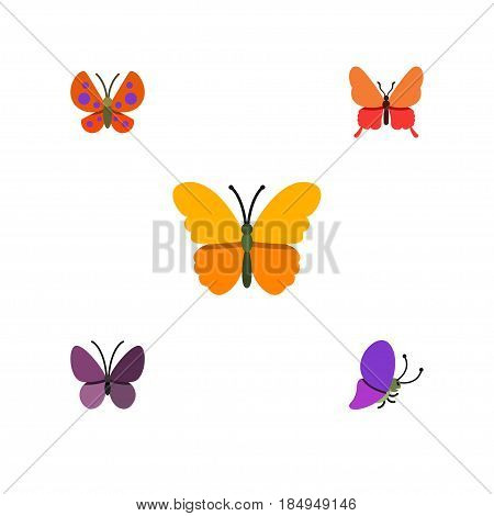 Flat Moth Set Of Moth, Danaus Plexippus, Violet Wing And Other Vector Objects. Also Includes Summer, Moth, Insect Elements.