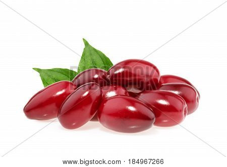 Red Berries Of Cornel Or Dogwood Isolated