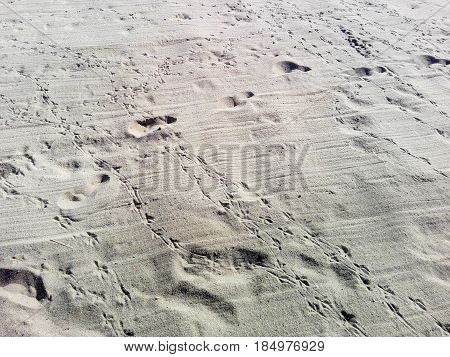 Picture of many steps in the sand.