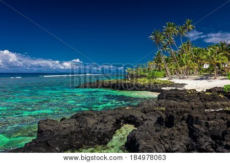 Coral reef on south side of Upolu, Samoa Islands.