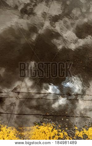 Reflection In Large Puddle On An Overcast Day