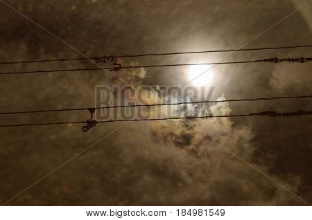 Reflection In Large Puddle On An Overcast Day