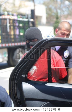 LOS ANGELES California- May 1, 2017: A person in a Black Ski Mask is arrested and put in a police car at a Protest Rally Against President Donald J.Trump on May 1, 2017 in Los Angeles, California
