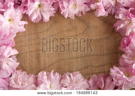 Pink Kwanzan Cherry Blossoms On A Wooden Background With Copy Space