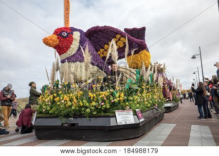 NOORDWIJK NETHERLANDS - 22 APRIL 2017: Platform with tulips and hyacinths during the traditional flowers parade Bloemencorso from Noordwijk to Haarlem in the Netherlands.