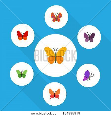Flat Monarch Set Of Danaus Plexippus, Moth, Monarch And Other Vector Objects. Also Includes Moth, Summer, Monarch Elements.