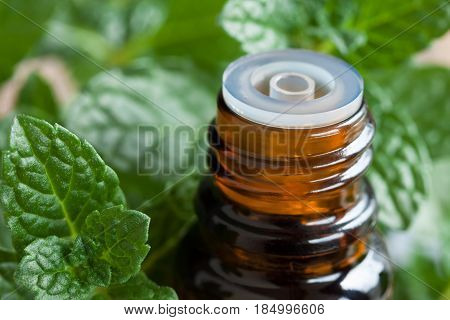Peppermint Essential Oil - A Bottle With Fresh Peppermint Leaves