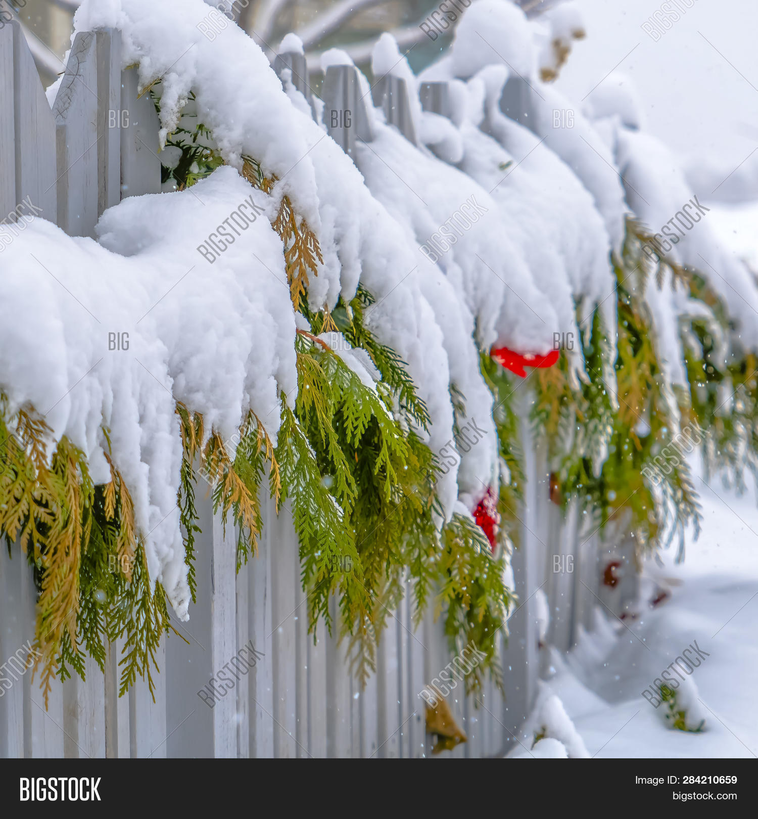Snow Covered Garland Image & Photo (Free Trial) Bigstock