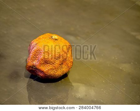 The Old Wrinkled Stale Overripe Mandarin.  Rotten Black Stone Dish Background. Top View. Free Copy S