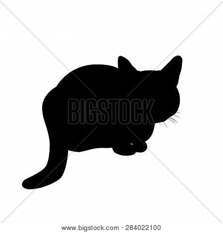 Silhouette Cat Sitting In Ambush. Vector Illustration Isolated On White Background
