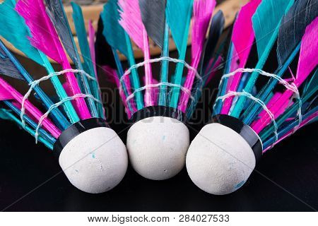 Colorful Feathers In The Badminton Shuttlecock. Team Play Set.