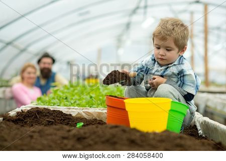 Geodome. New Technology Of Geodome. Geodome Greenhouse For Growing Plants. Modern Geodome In Future 