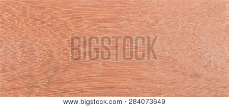 Wood Background - Wood From The Tropical Rainforest - Suriname - Symphonia Globulifera