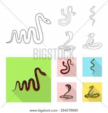 Vector Design Of Mammal And Danger Logo. Set Of Mammal And Medicine Stock Vector Illustration.