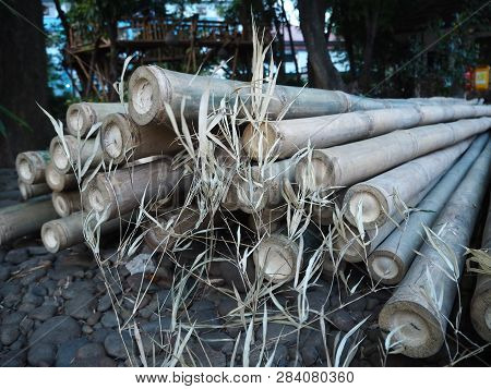 Tangerang, Indonesia - October 19, 2018: A Pile Of Bamboo Sticks Lay On The Ground At Taman Bambu.