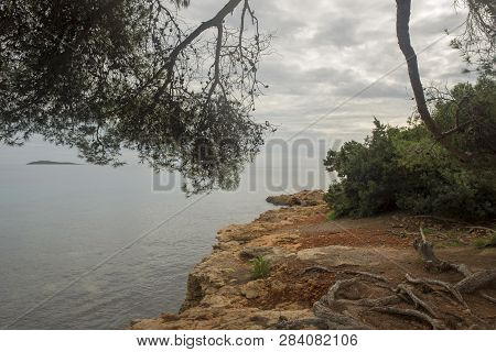 Trees By The Sea Of Ibiza A Cloudy Day