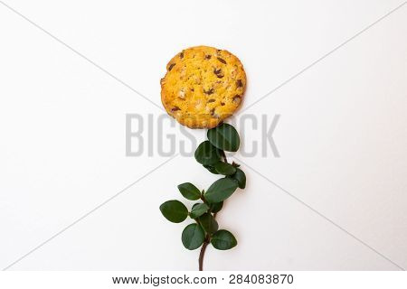 Flower Composition Made From Cookie And Branch With The Leaves