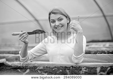 Smiling Lady In Pink Cardigan Working In Greenhouse. Blond Woman With Short Hair Holding Small Garde