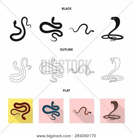 Vector Design Of Mammal And Danger Symbol. Set Of Mammal And Medicine Stock Symbol For Web.