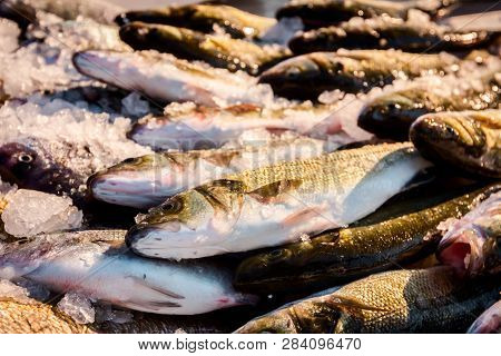 Pile Of Fresh Branzino, Sea Perch, Mullet, Fish For Sale On The Fishmonger, Outdoor Seafood Market.
