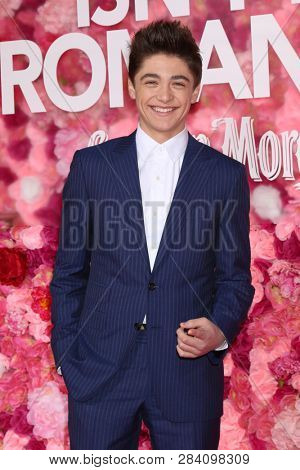 LOS ANGELES - FEB 11:  Asher Angel at the 