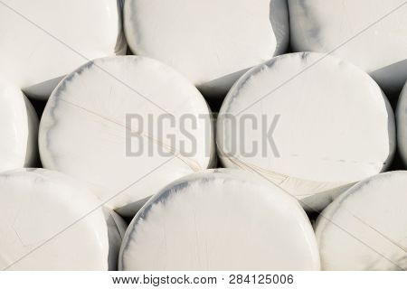 Agricultural Background From Many Straw Packages. Cereal Bale Of Hay Wrapped In Plastic White Foil.